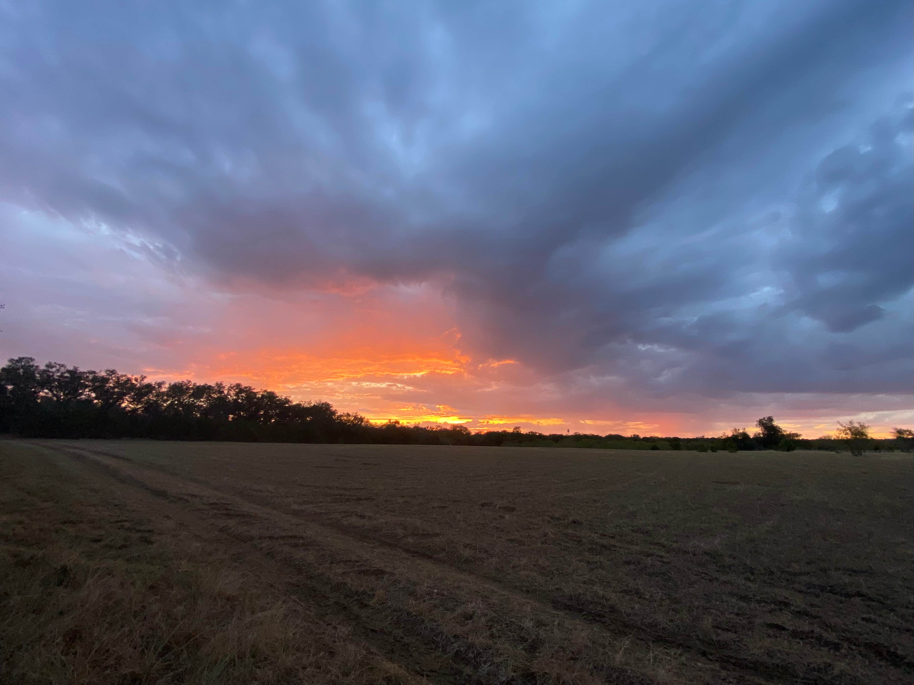 Camping near Thousand Trails Medina Lake: Memmie’s Farm, Bandera, Texas