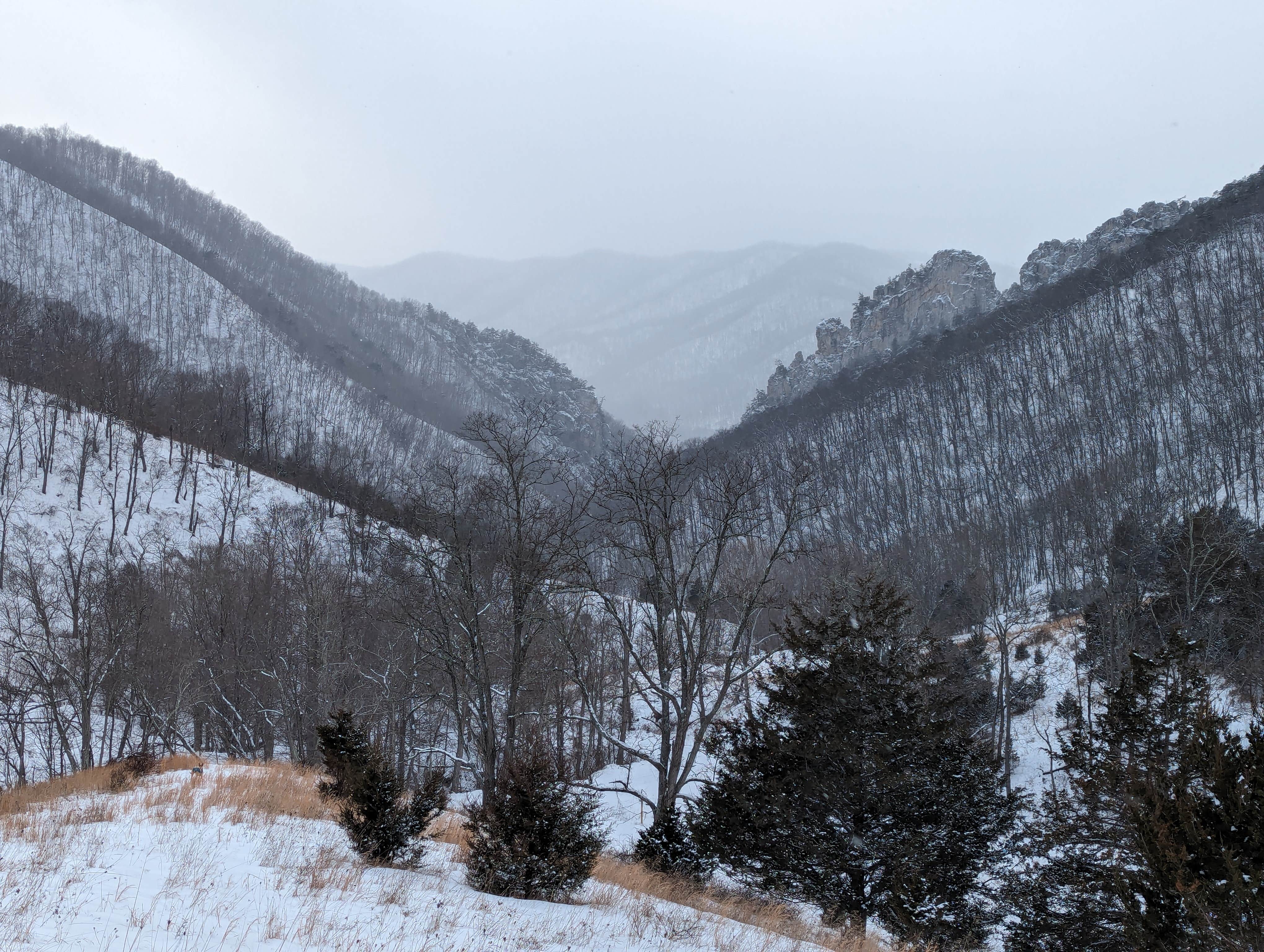 Camping near Spruce Knob Lake Campground: Fourth Moon Camp, Seneca Rocks, West Virginia