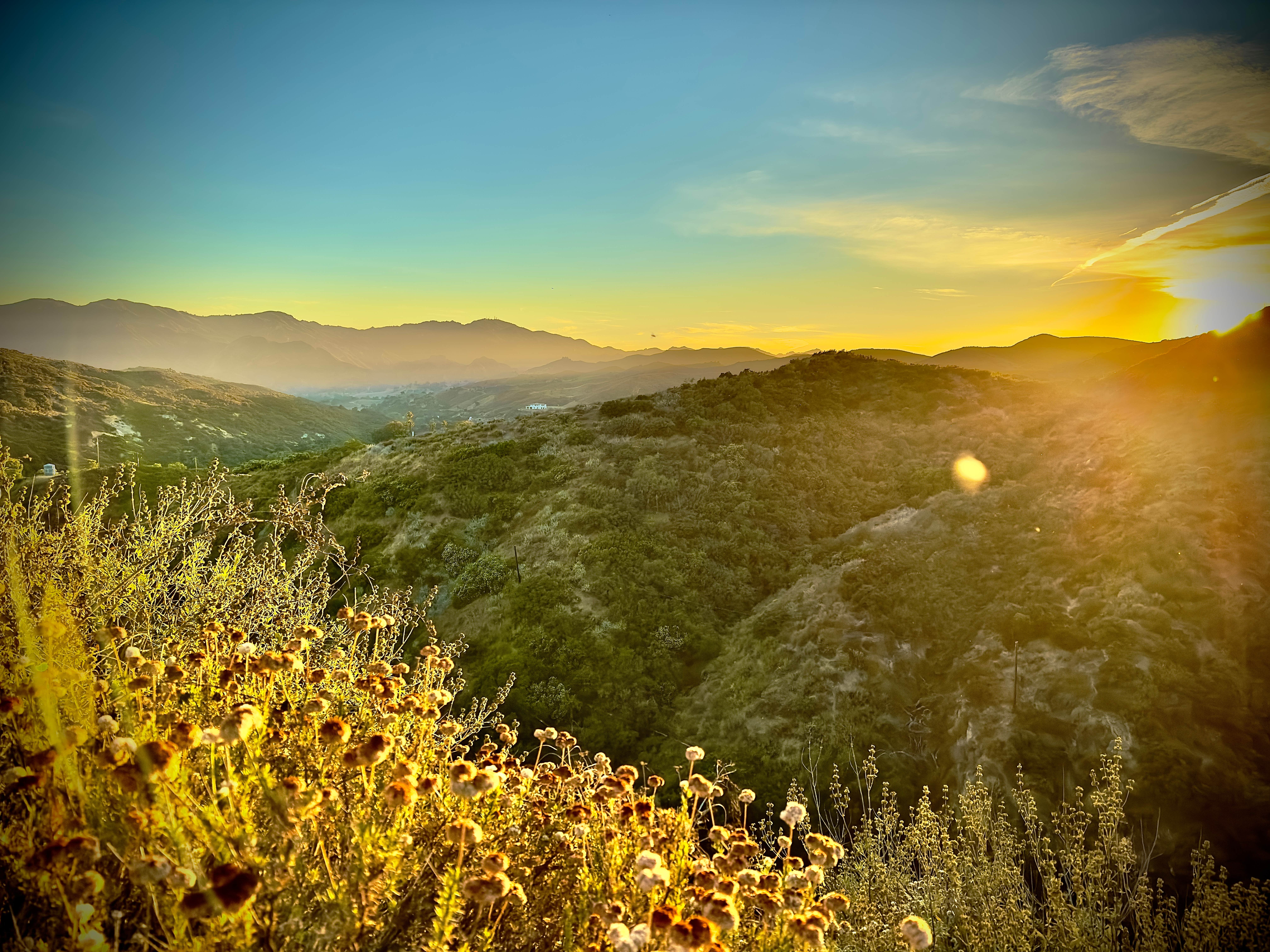 Camping near Malibu Creek State Park Campground: Malibu Creek Orchard Retreat, Calabasas, California