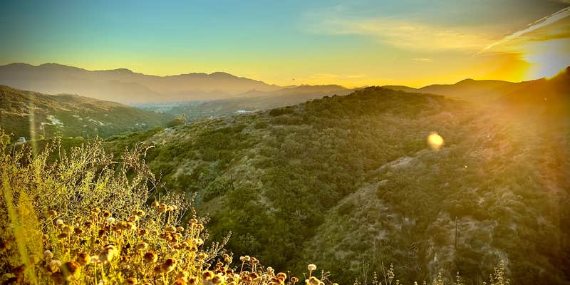 Camper submitted image from Malibu Creek Orchard Retreat