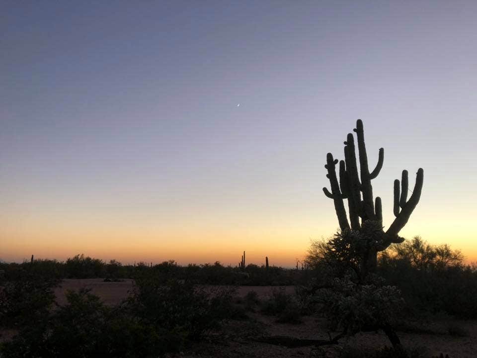 Camper-submitted photo at Cottonwood Canyon Rd. Dispersed near Superior, AZ