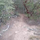 Review photo of Corte Madera Mountain by Elsye W., November 14, 2018