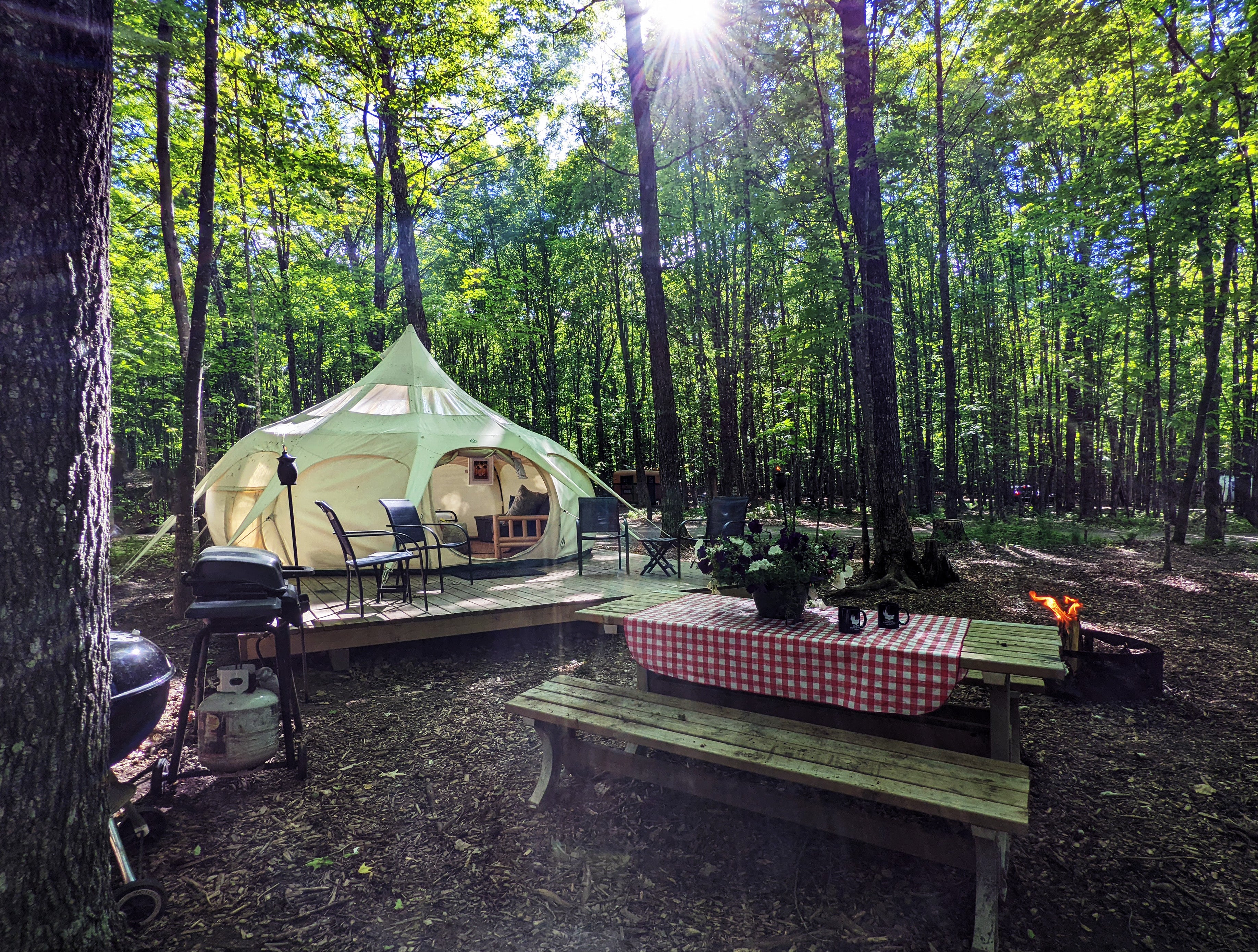 Camper submitted image from Coadys' Point of View Lake Resort & Glamping Campground - 1