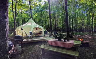 Camper-submitted photo from Coadys' Point of View Lake Resort & Glamping Campground