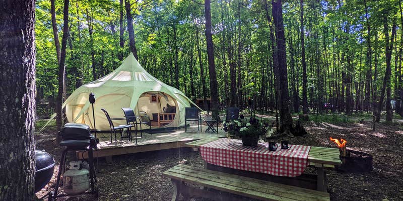 Camper submitted image from Coadys' Point of View Lake Resort & Glamping Campground