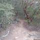 Corte Madera Mountain