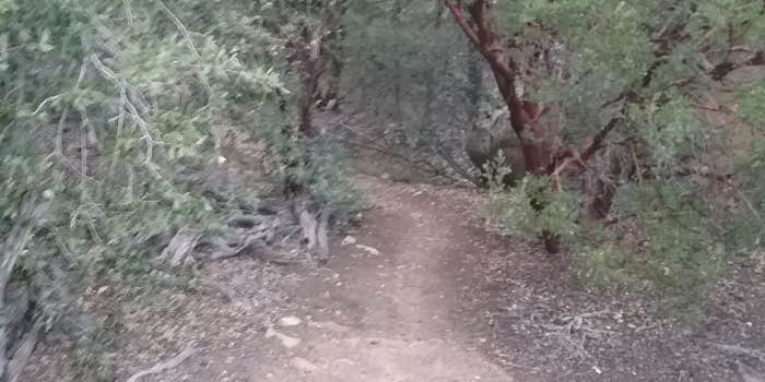 Camper submitted image from Corte Madera Mountain