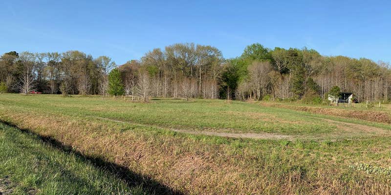 Camper submitted image from King