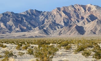 Camping near Mesquite Rd BLM Dispersed: Desert Campsite The Pads, Pahrump, Nevada