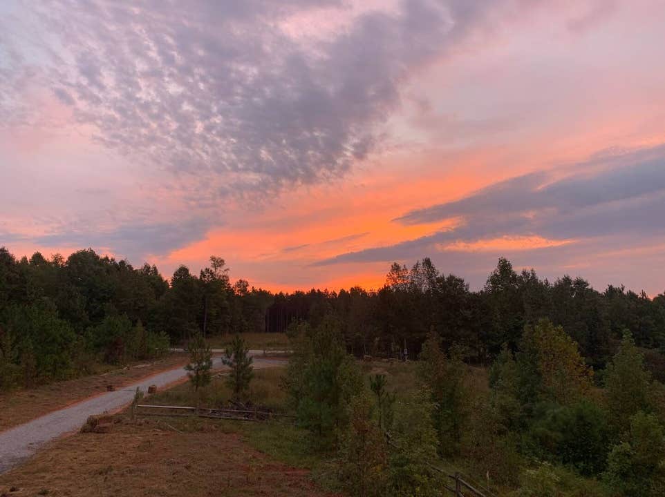 Camper submitted image from Matthews Creek Farm - 1