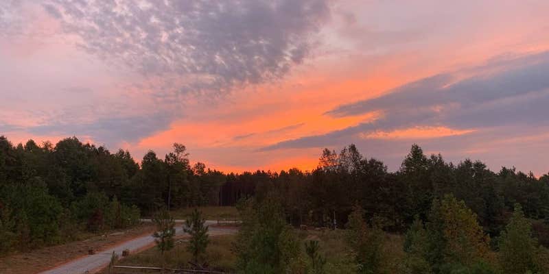 Camper submitted image from Matthews Creek Farm