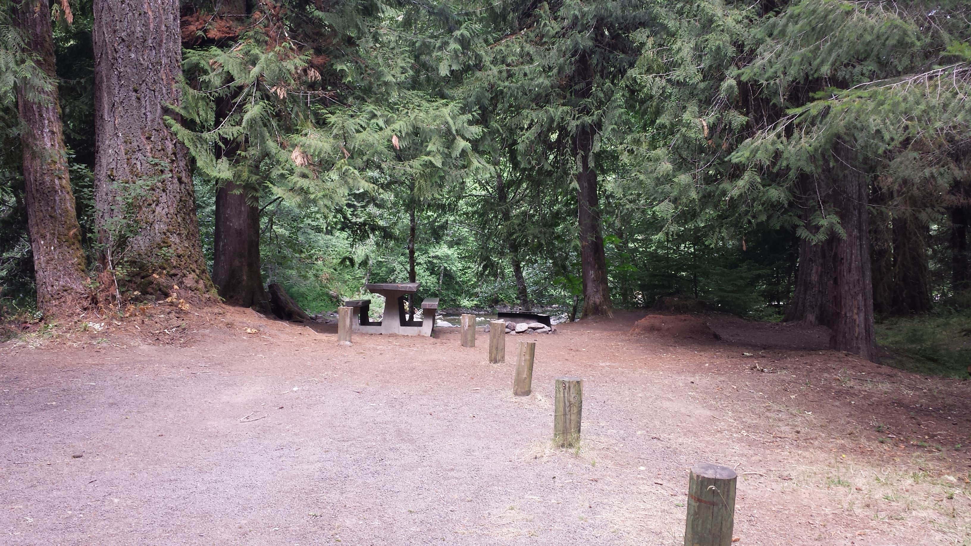 Camper submitted image from Riverside Campground - 3
