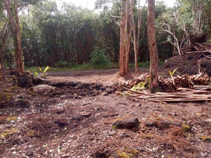 Camper-submitted photo at Jeff's on Molokai near Hawaiian Paradise Park, HI