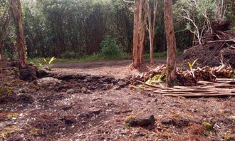 Camping near Treehouse.Farm: Jeff's on Molokai, Hawaiian Paradise Park, Hawaii