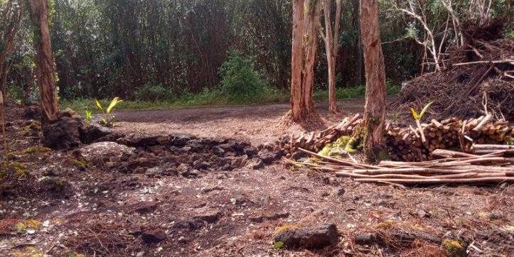 Camper submitted image from Jeff's on Molokai