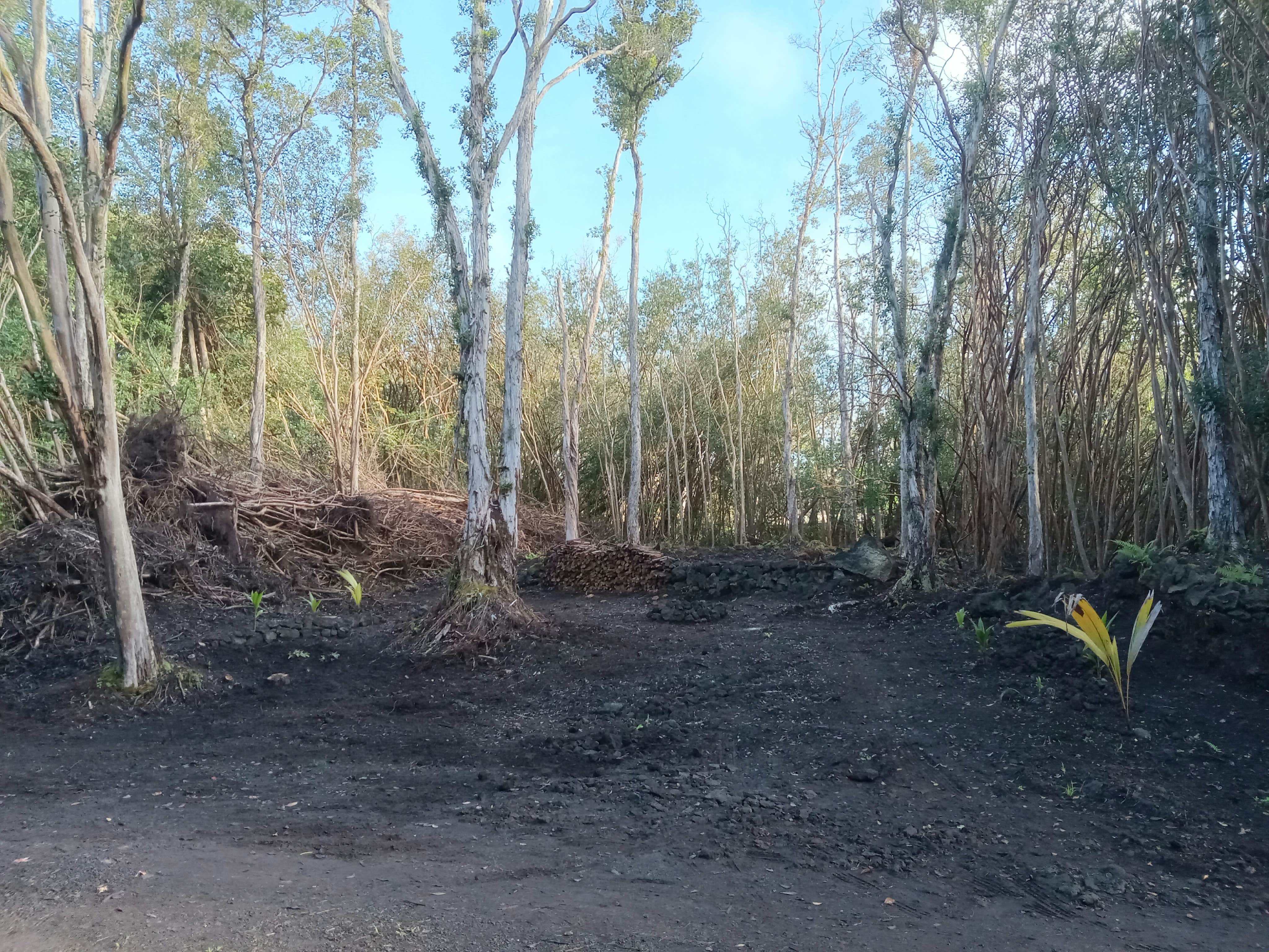 Camper-submitted photo at Jeff's on Molokai near Hawaiian Paradise Park, HI
