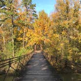 Review photo of Tishomingo State Park Campground by Shana D., November 15, 2018