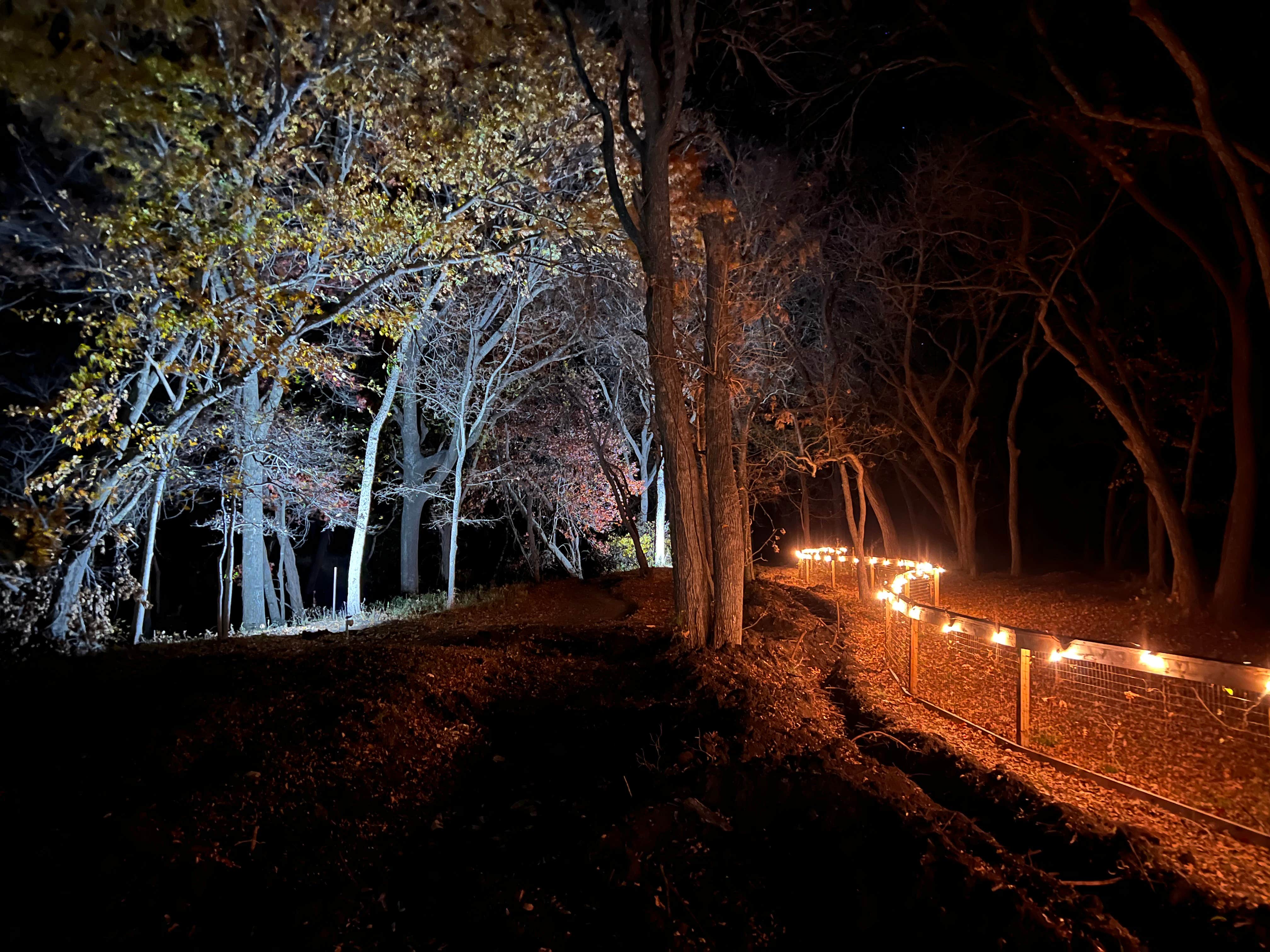 Camper-submitted photo at City Limits RV Resort near Hillsboro, TX