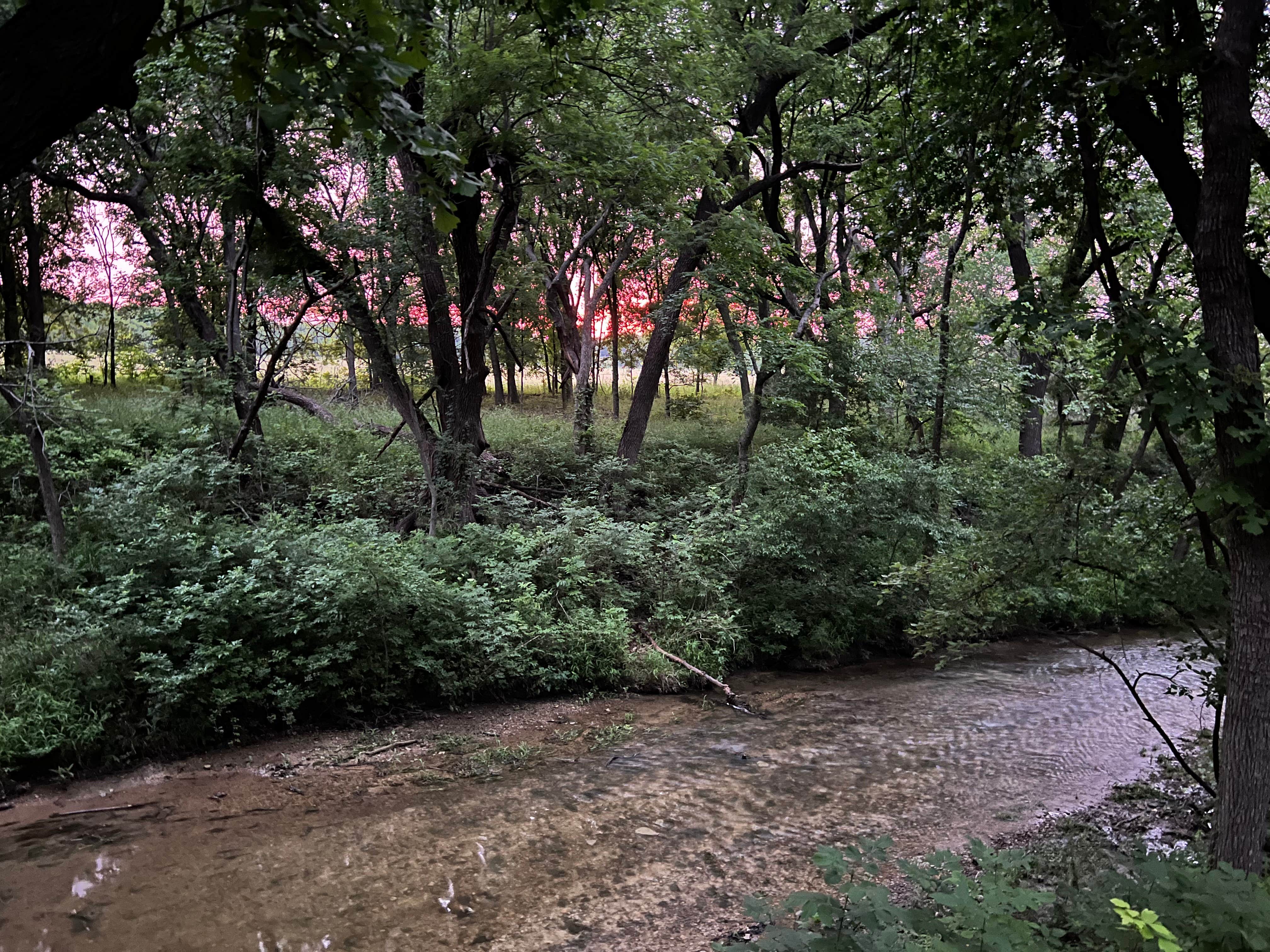 Camper-submitted photo at City Limits RV Resort near Hillsboro, TX