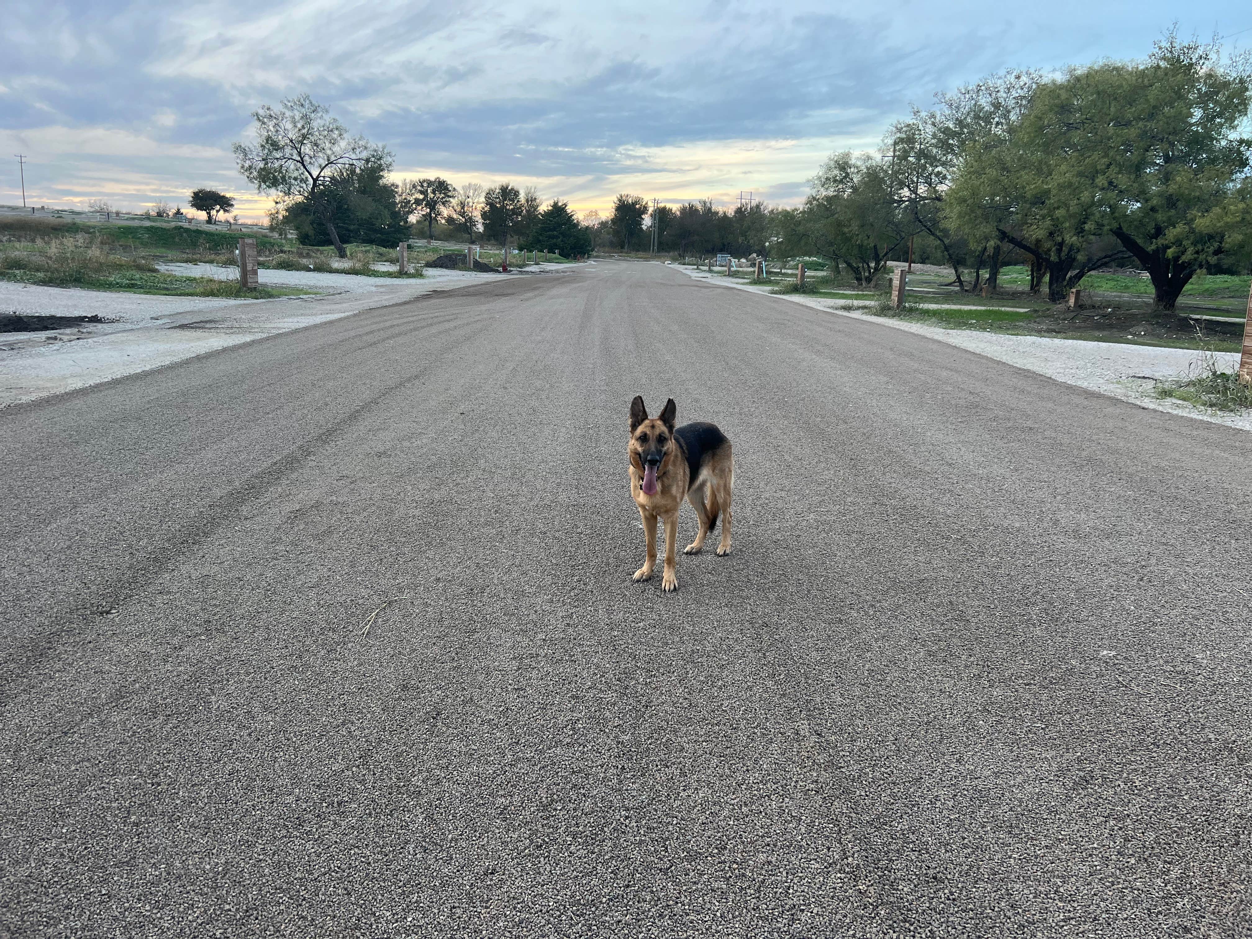 Todd D.'s photo of camping with pets at City Limits RV Resort near Cedar Hill, TX