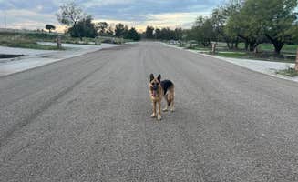 Todd D.'s photo of camping with pets at City Limits RV Resort near Wilmer, TX