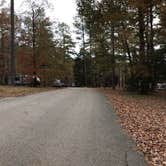 Review photo of Tishomingo State Park Campground by Shana D., November 15, 2018