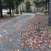 Review photo of Tishomingo State Park Campground by Shana D., November 15, 2018