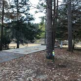 Review photo of Tishomingo State Park Campground by Shana D., November 15, 2018