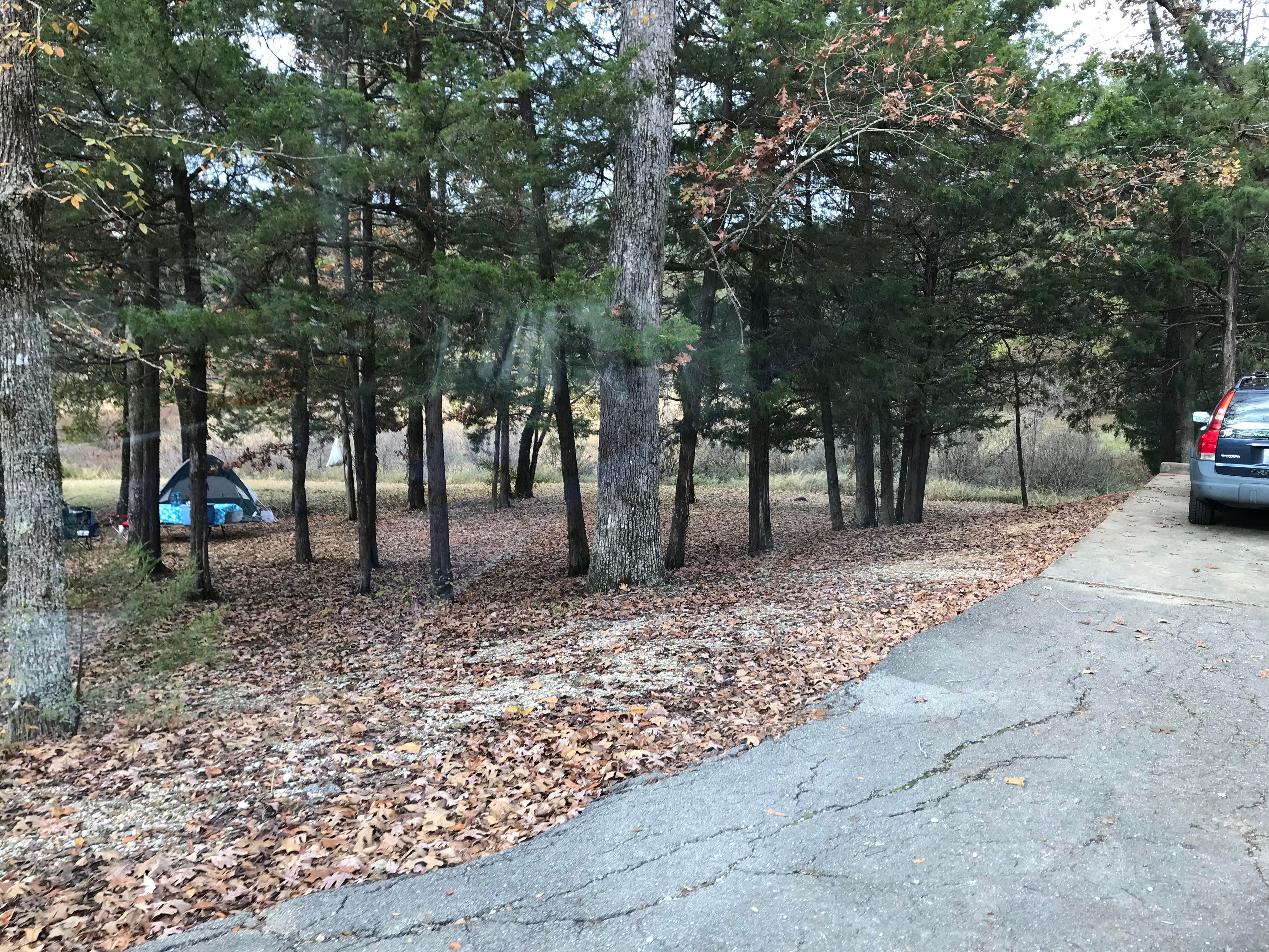 Shana D.'s photo at Tishomingo State Park Campground near Tuscumbia, AL