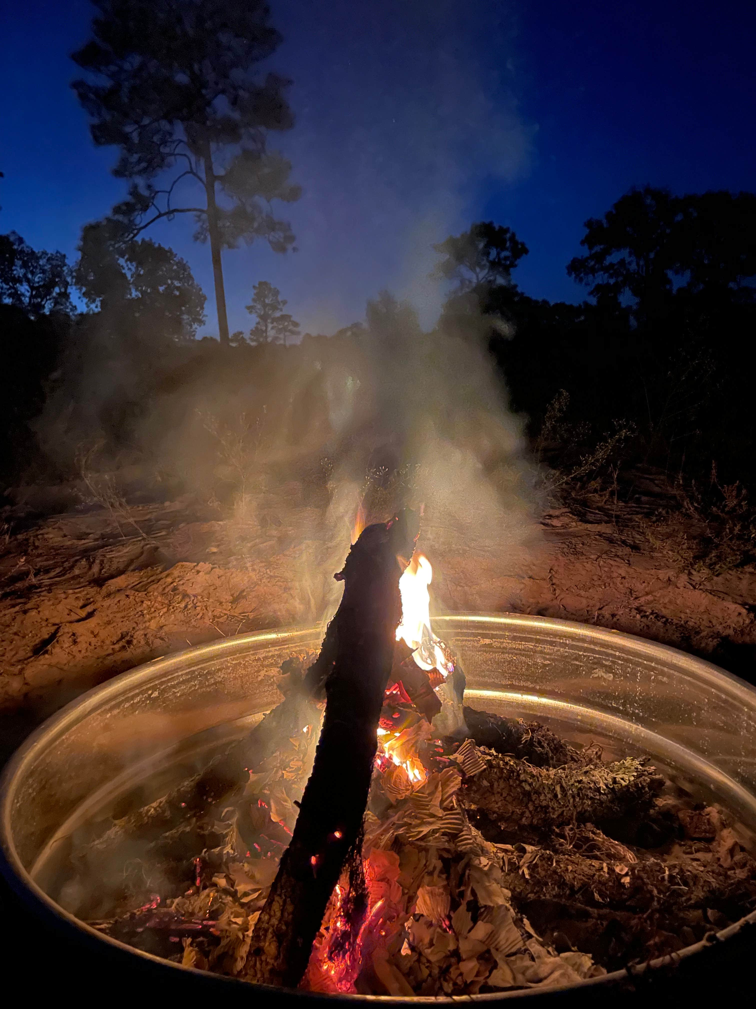 Camper-submitted photo at Wildflower Ranch near Rocky Point, FL