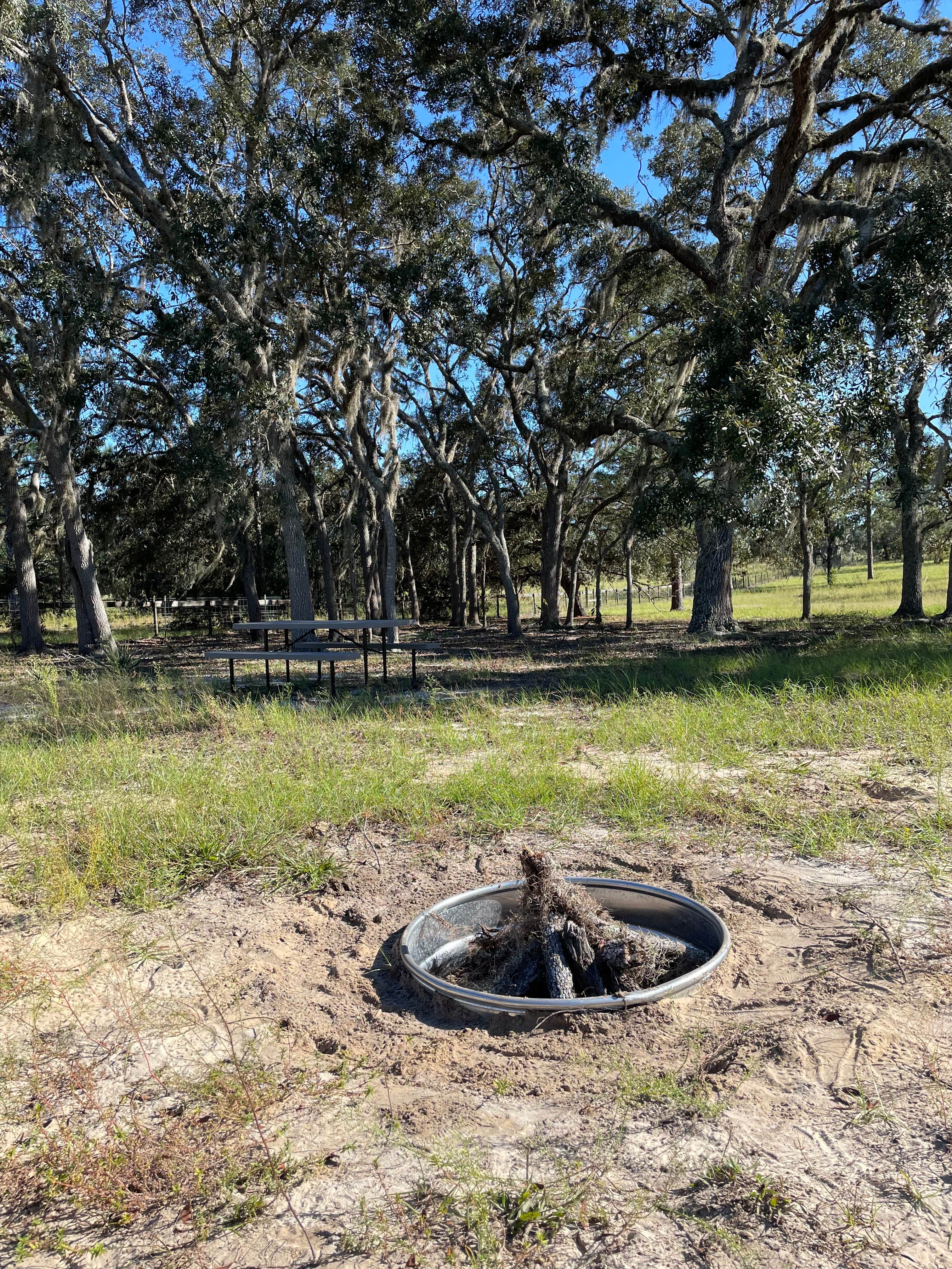 Camping near Black Prong Equestrian Village: Wildflower Ranch, Bronson, Florida