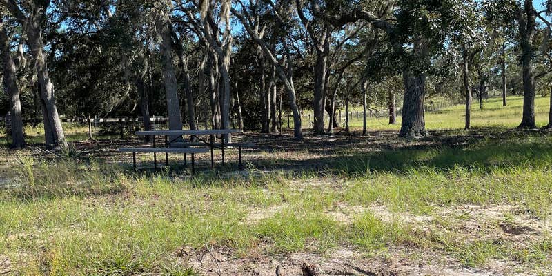 Camper submitted image from Wildflower Ranch