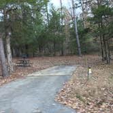 Review photo of Tishomingo State Park Campground by Shana D., November 15, 2018