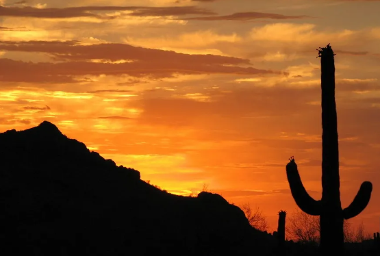 Camping near Quail Run RV Park: Sierra Vista RV Park, Stanfield, Arizona