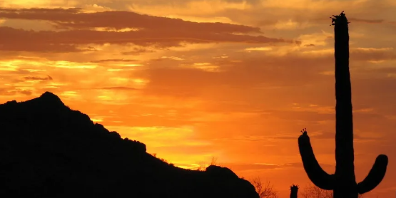 Camper submitted image from Sierra Vista RV Park