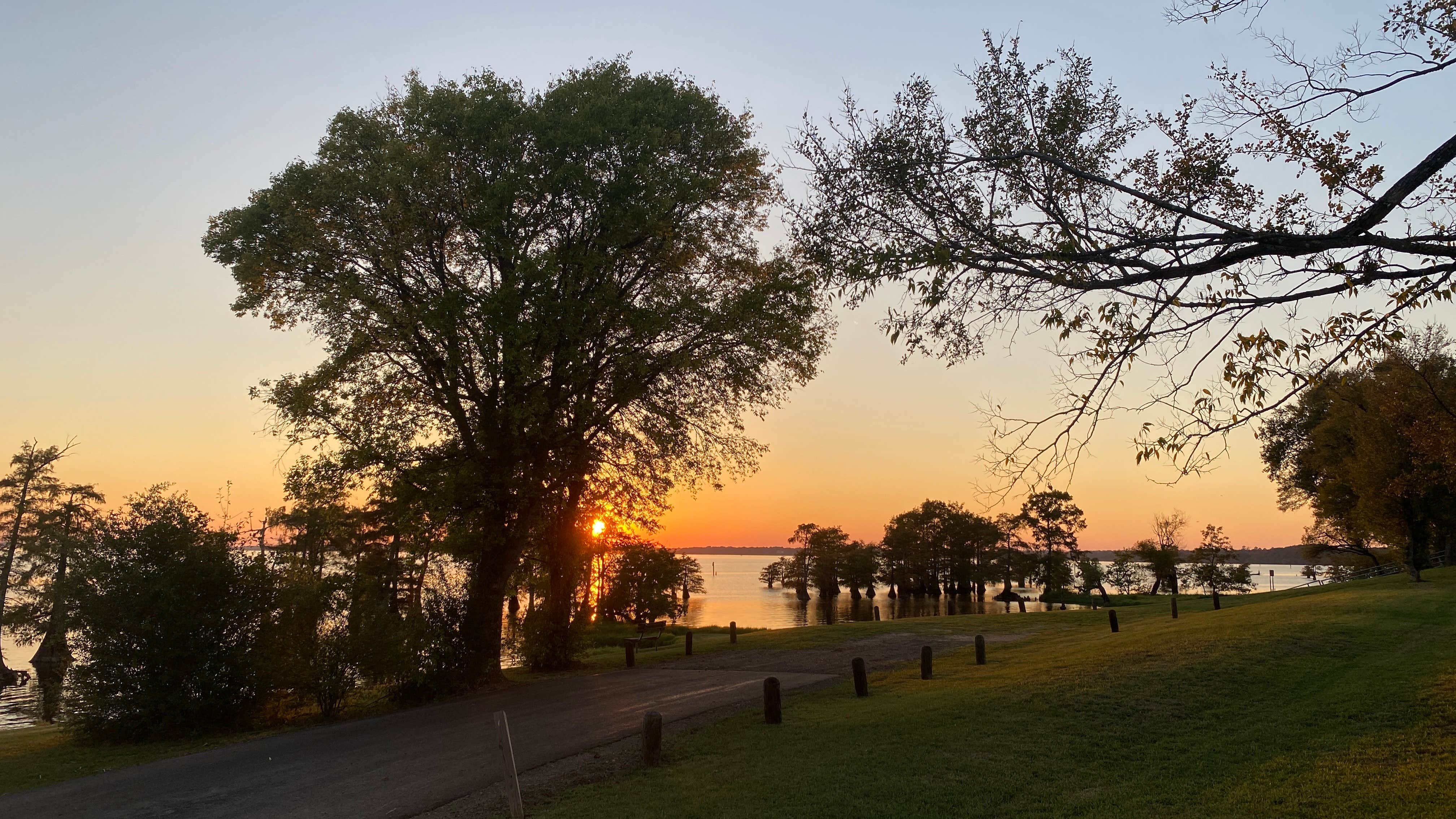 Camper-submitted photo at Earl Williamson Park near Tatum, TX