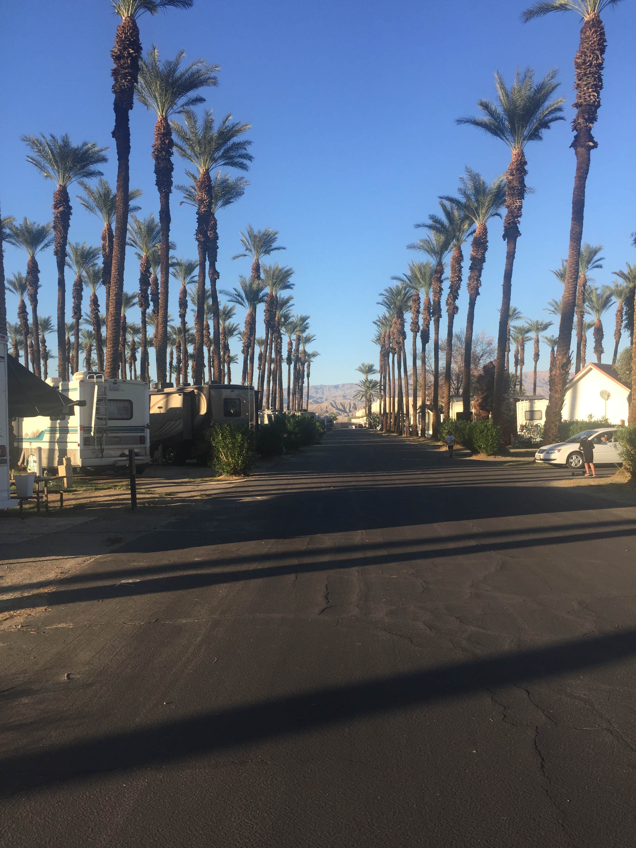 Camper submitted image from Thousand Trails Palm Springs - 3