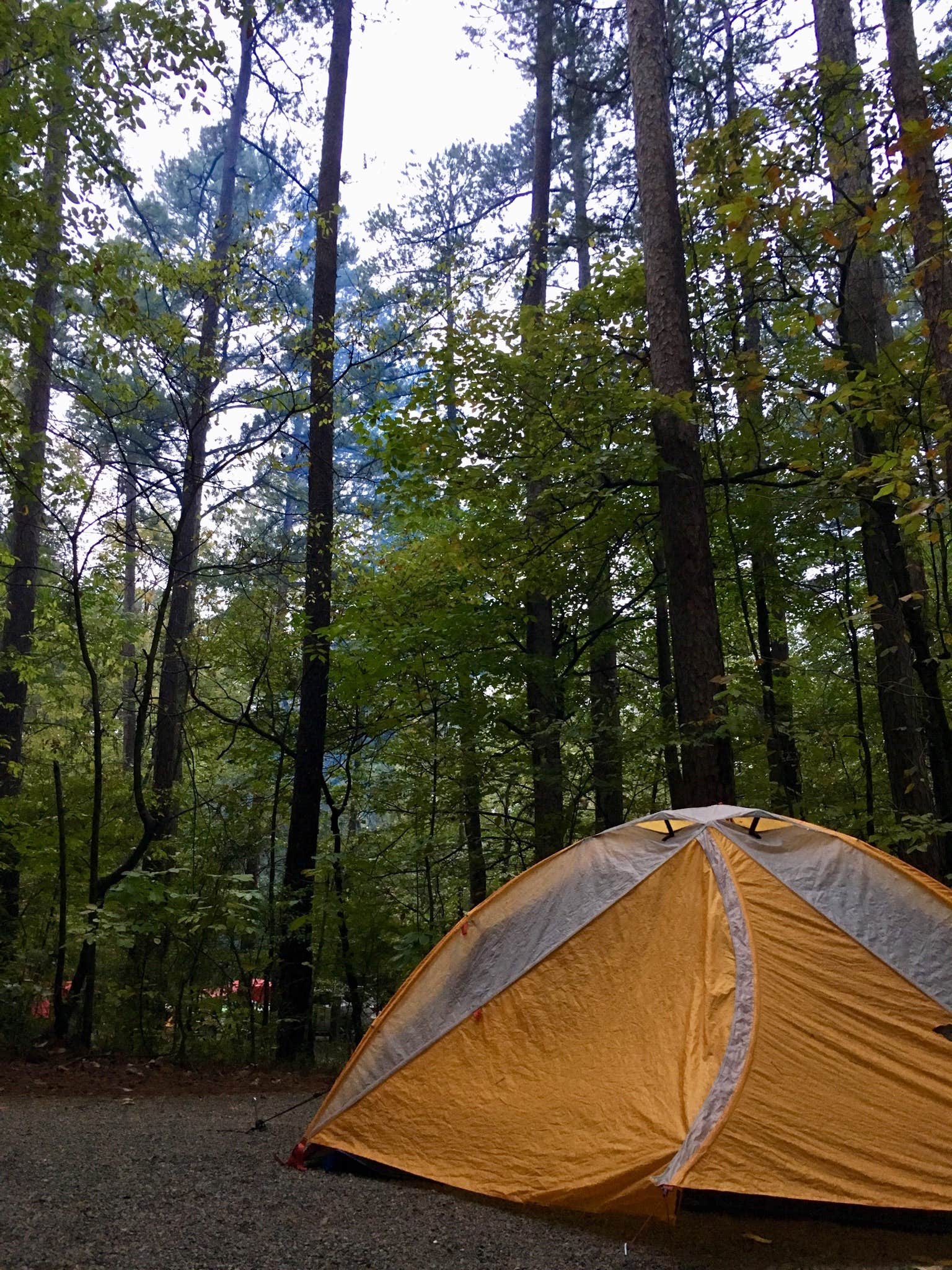 Annie C.'s photo at Lake Glendale Recreation Area near Harrisburg, IL