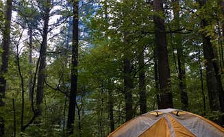 Annie C.'s photo of a dispersed camping area at Lake Glendale Recreation Area near Bargerville, IL