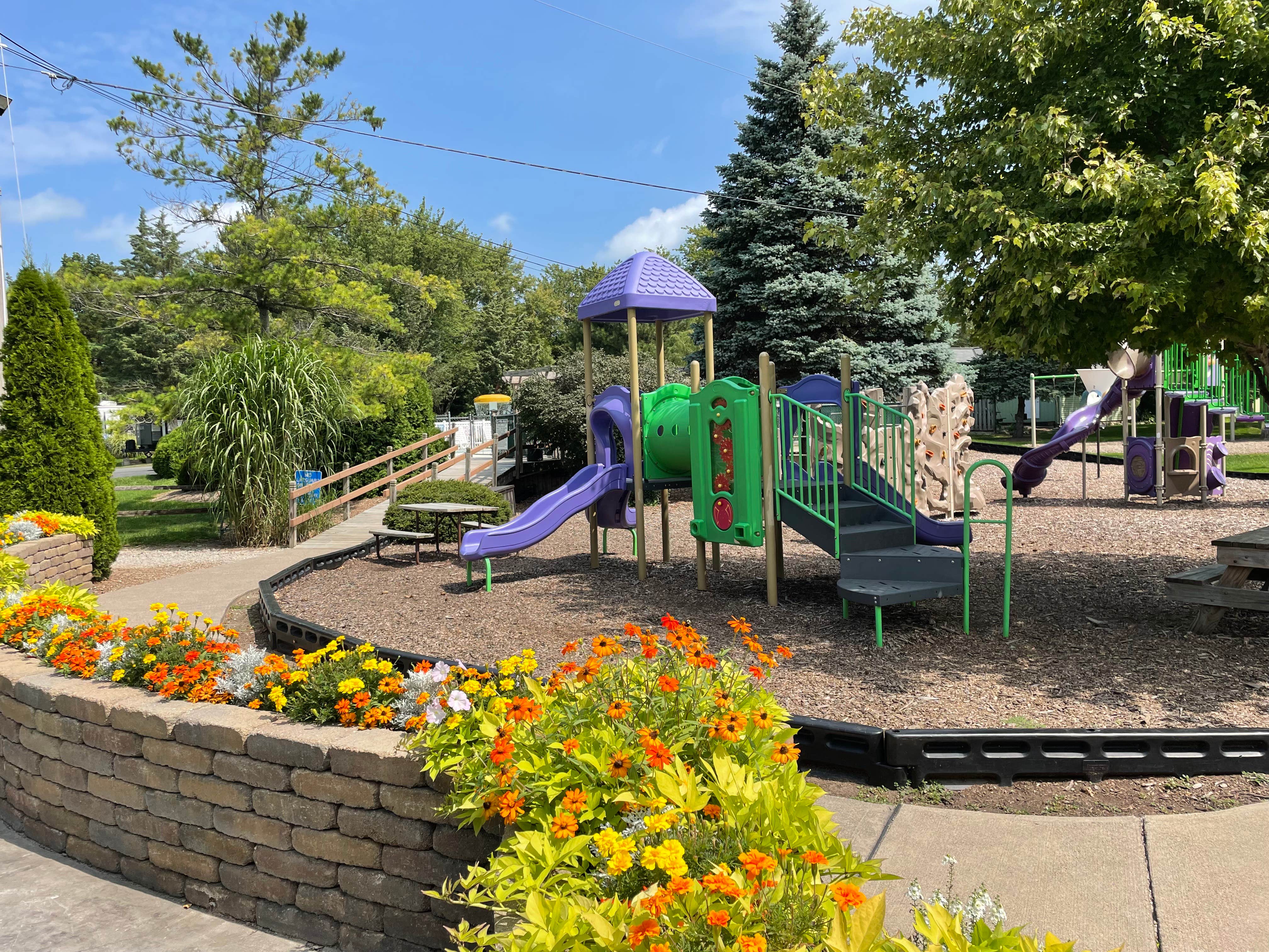 Camper-submitted photo at Cedarlane RV Resort near Clyde, OH