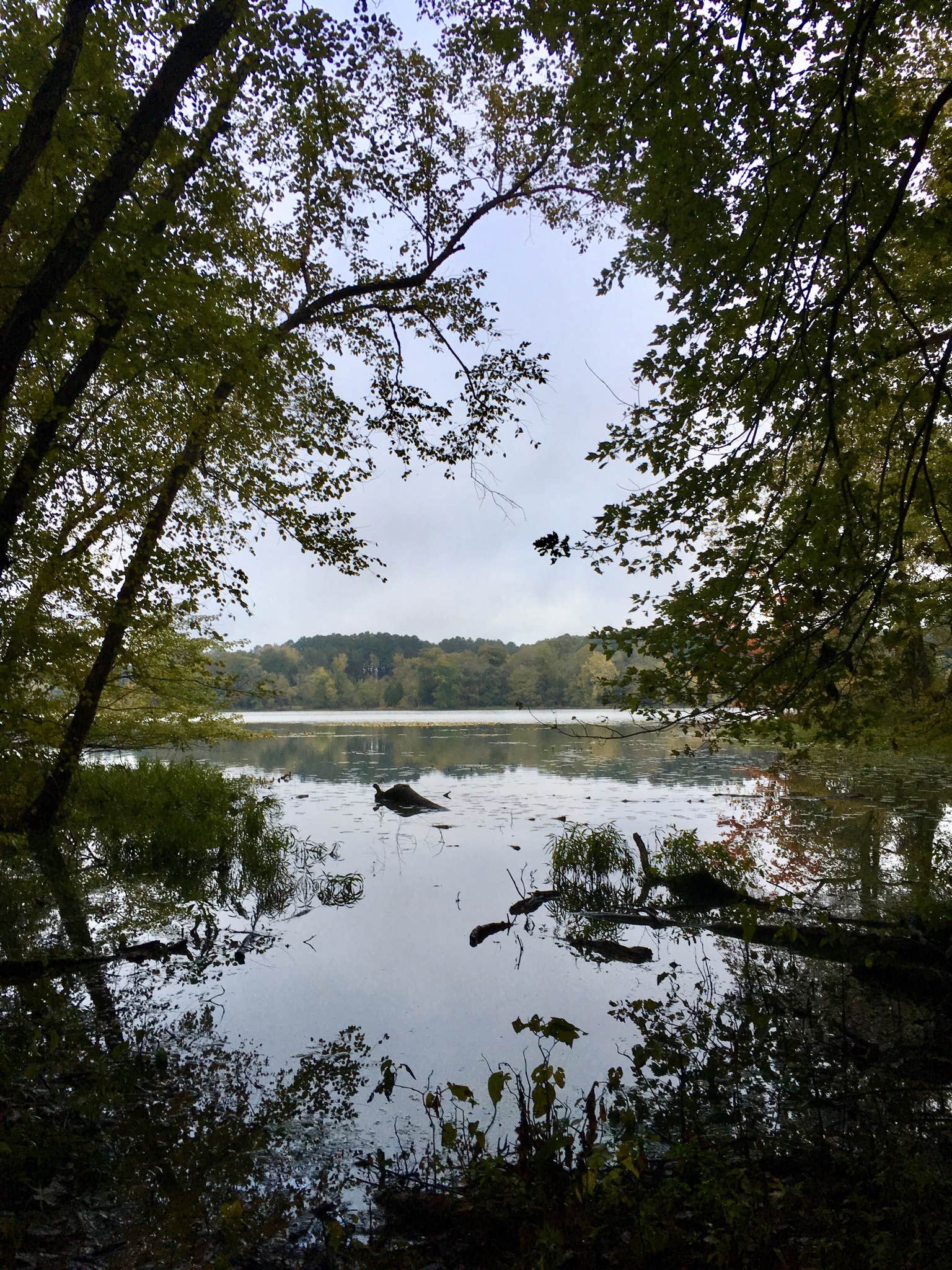Camper submitted image from Lake Glendale Recreation Area - 5