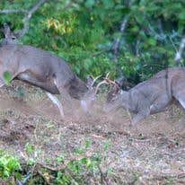Camper-submitted photo at Darlings Marina & RV Resort near Florence, OR