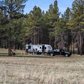 Review photo of Grand Canyon North Dispersed camping by Wayne M., January 25, 2024