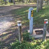 Review photo of McKinney Falls State Park Campground by Troy W., November 15, 2018