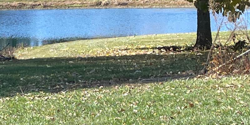 Camper submitted image from Lightwood Farm