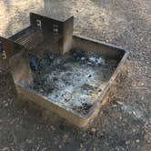 Review photo of McKinney Falls State Park Campground by Troy W., November 15, 2018