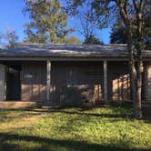 Review photo of McKinney Falls State Park Campground by Troy W., November 15, 2018