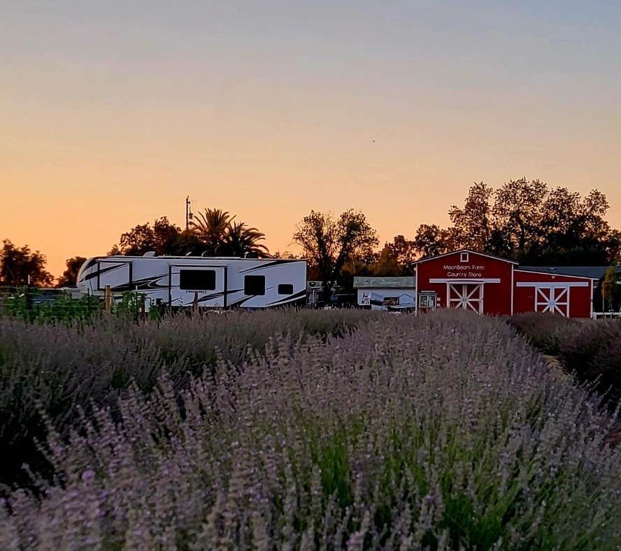 Camping near Sycamore Grove (red Bluff) Campground: MoonBeam Farm, Corning, California
