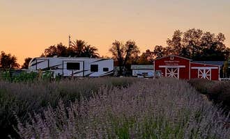 Camping near Rolling Hills Casino Truck Lot: MoonBeam Farm, Corning, California
