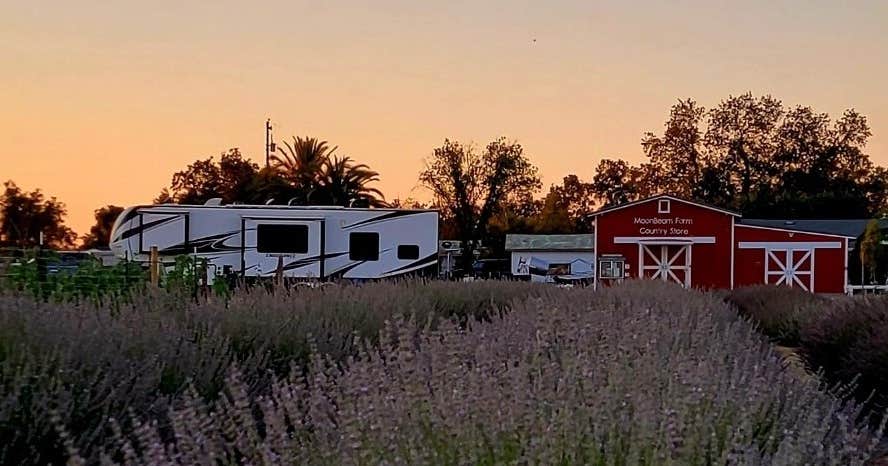 MoonBeam Farm